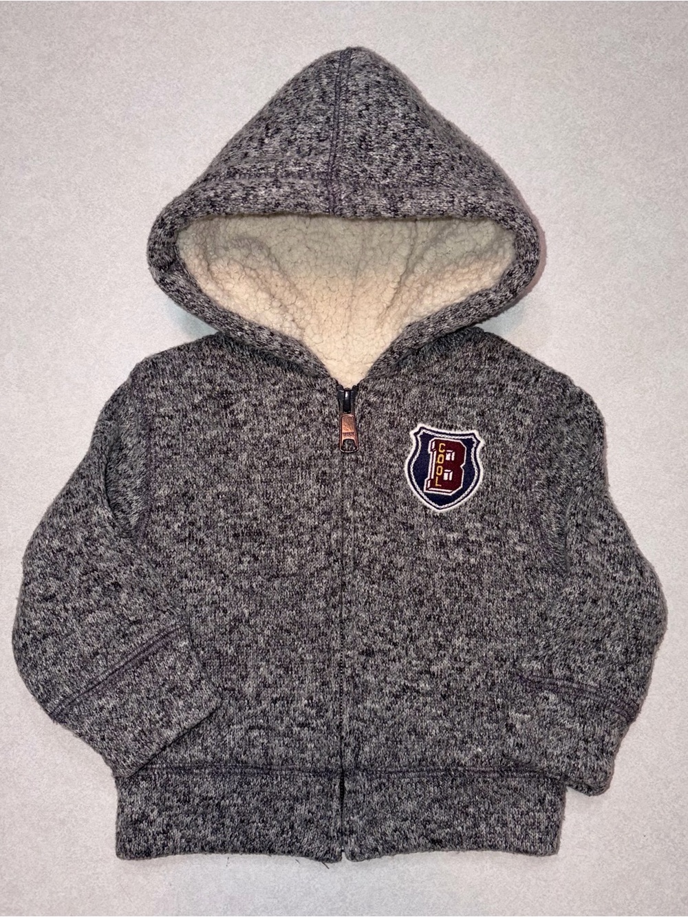 The Children's Place Hooded Zip Jacket with Sherpa Lining
